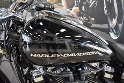 2025 Harley-davidson FXBR BREAKOUT (117) VIVID BLACK