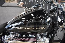 2025 Harley-davidson FXBR BREAKOUT (117) VIVID BLACK