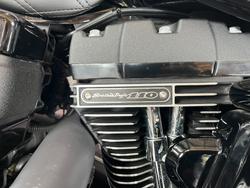 2017 Harley-davidson FXDLS LOW RIDER S Black