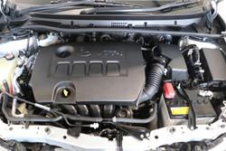 2017 Toyota
                Corolla Ascent Sport