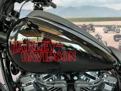 2025 Harley-davidson FXLRS LOW RIDER S (117) Vivid Black