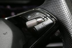 2021 SKODA Karoq 110TSI