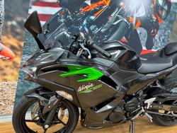 2025 Kawasaki NINJA 500 GREY