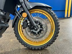 2024 Suzuki V-STROM 650XT (DL650XA) Black/ GOLD