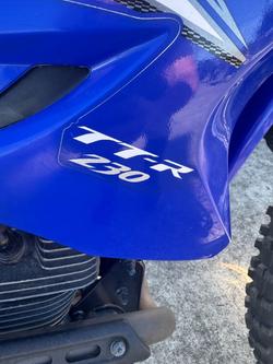 2011 Yamaha TTR230A