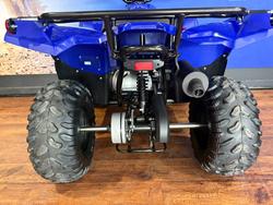 2025 Yamaha GRIZZLY 110