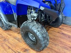 2025 Yamaha GRIZZLY 110