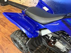 2025 Yamaha RAPTOR 110 Blue
