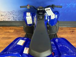 2025 Yamaha RAPTOR 110 Blue