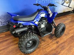 2025 Yamaha RAPTOR 110 Blue