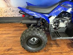 2025 Yamaha RAPTOR 110 Blue