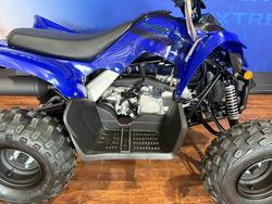 2025 Yamaha RAPTOR 110 Blue