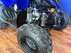 2025 Yamaha RAPTOR 110 Blue