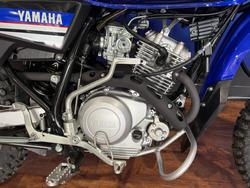 2025 Yamaha AG125 Blue