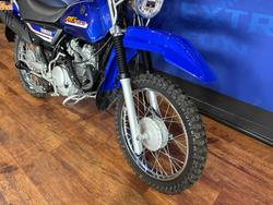 2025 Yamaha AG125 Blue