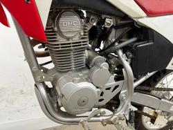 2019 Honda CRF230F Red
