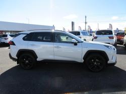 2021 Toyota RAV4 Cruiser