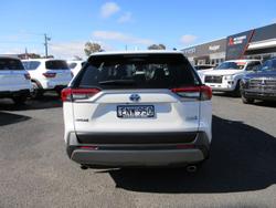 2021 Toyota RAV4 Cruiser