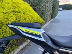 2021 BMW Motorrad S 1000 R Silver