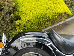 2015 Yamaha XVS650A V-STAR CLASSIC