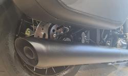 2025 Harley-Davidson Heritage Classic 117 (FLHC) Softail