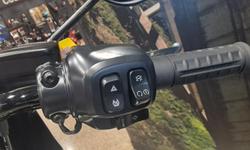 2025 Harley-Davidson Heritage Classic 117 (FLHC) Softail