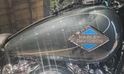 2025 Harley-Davidson Heritage Classic 117 (FLHC) Softail