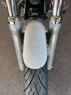 2015 Harley-davidson FXDL LOW RIDER White