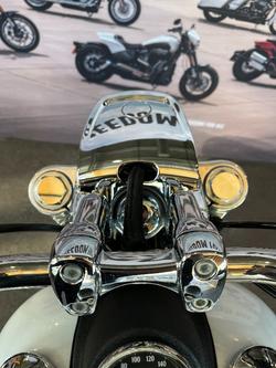 2015 Harley-davidson FXDL LOW RIDER White