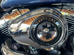 2015 Harley-davidson FXDL LOW RIDER White