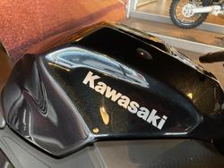2024 Kawasaki Ninja 500 (EX500G) Ninja Black
