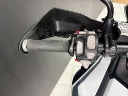 2020 TRIUMPH TIGER 1200 ALPINE White