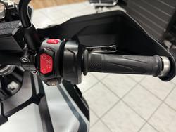 2020 TRIUMPH TIGER 1200 ALPINE White