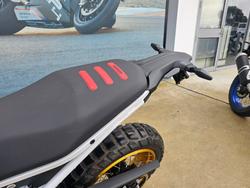 2024 BMW Motorrad F 900 GS White