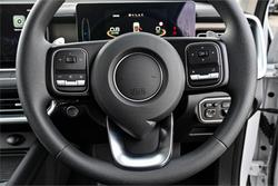 2025 GWM Cannon Premium