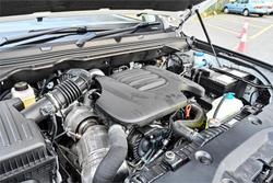 2025 GWM Cannon Premium