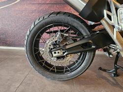 2025 Triumph Tiger 900 Rally Pro Tiger