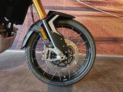 2025 Triumph Tiger 900 Rally Pro Tiger