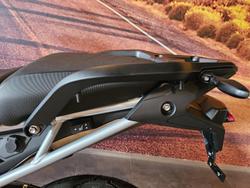 2025 Triumph Tiger 900 Rally Pro Tiger
