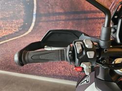 2025 Triumph Tiger 900 Rally Pro Tiger