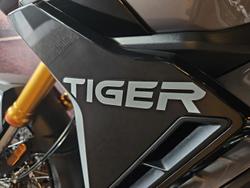2025 Triumph Tiger 900 Rally Pro Tiger