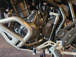 2025 Triumph Tiger 900 Rally Pro Tiger