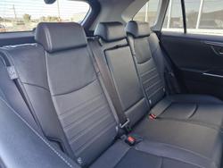 2023 Toyota
                RAV4 Cruiser