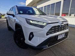 2023 Toyota
                RAV4 Cruiser