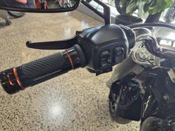 2025 Harley-Davidson Fat Boy 117 (FLFB) Softail Black