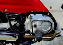 2016 Honda Super Cub C110 (NBC110) Cub Red