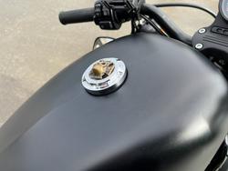 2016 HARLEY-DAVIDSON XL883 IRON 883 Black