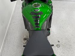 2025 Kawasaki NINJA 1000SX Green