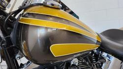 2013 Harley-Davidson Fat Boy 103 (FLSTF) Softail Gold