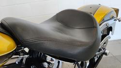 2013 Harley-Davidson Fat Boy 103 (FLSTF) Softail Gold